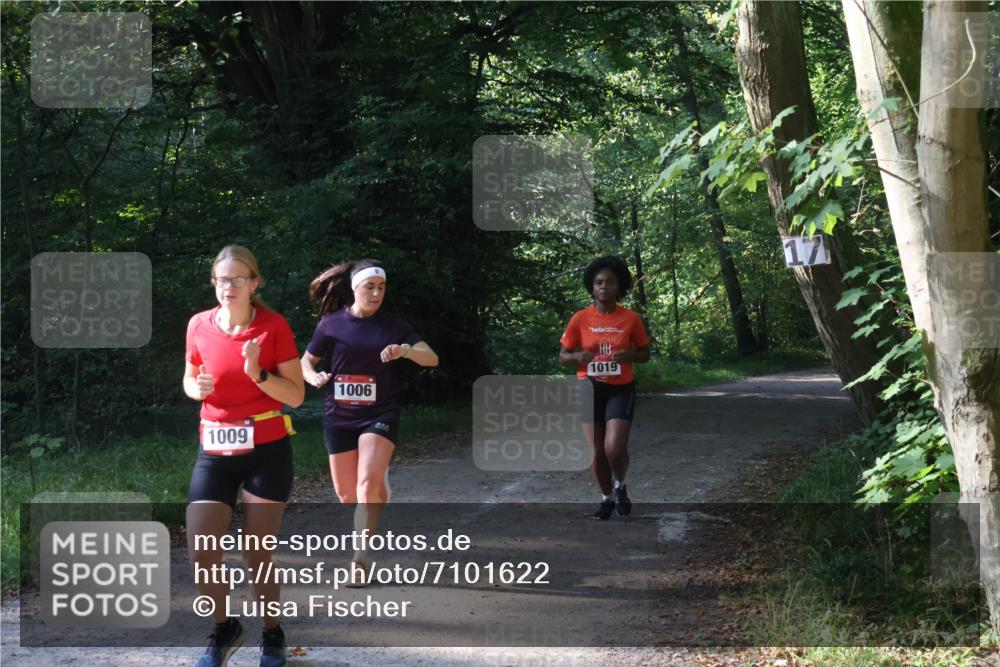 22.09.2024 - 32. Volkslauf durch das schöne Alstertal Luisa Fischer http://msf.ph/oto/7101622 22.09.2024 10:21:05 Laufen 1009, 1006, 1019 meine-sportfotos.de