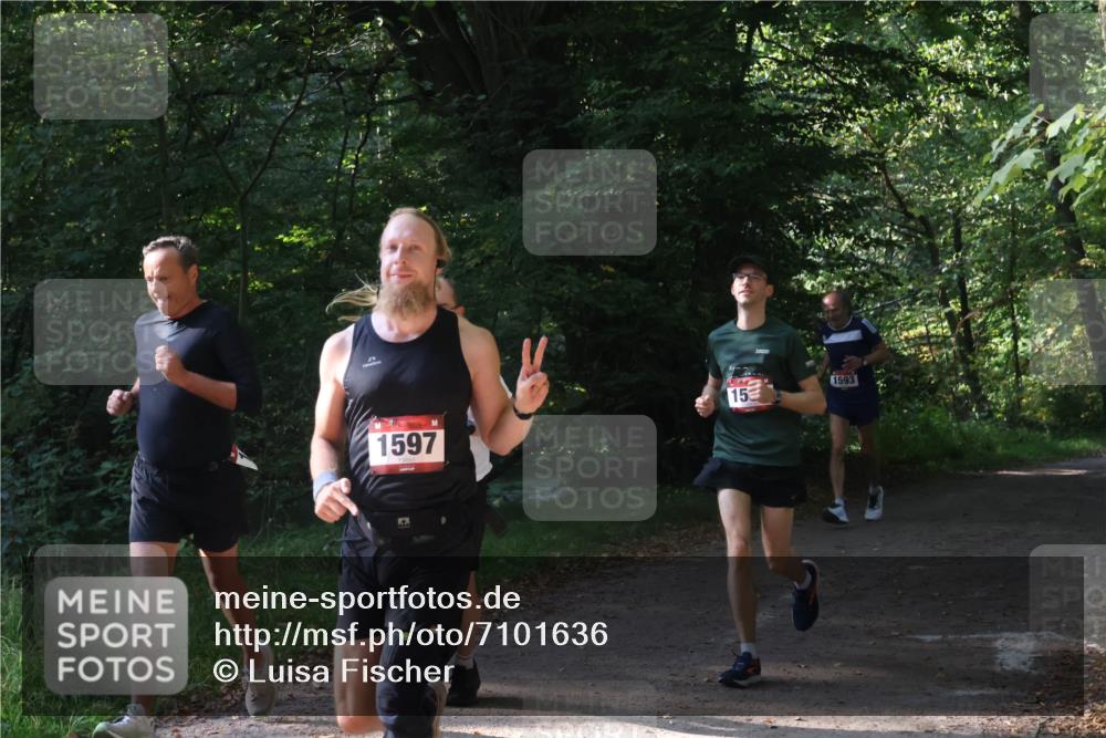 22.09.2024 - 32. Volkslauf durch das schöne Alstertal Luisa Fischer http://msf.ph/oto/7101636 22.09.2024 10:21:21 Laufen 1597, 153, 1593 meine-sportfotos.de