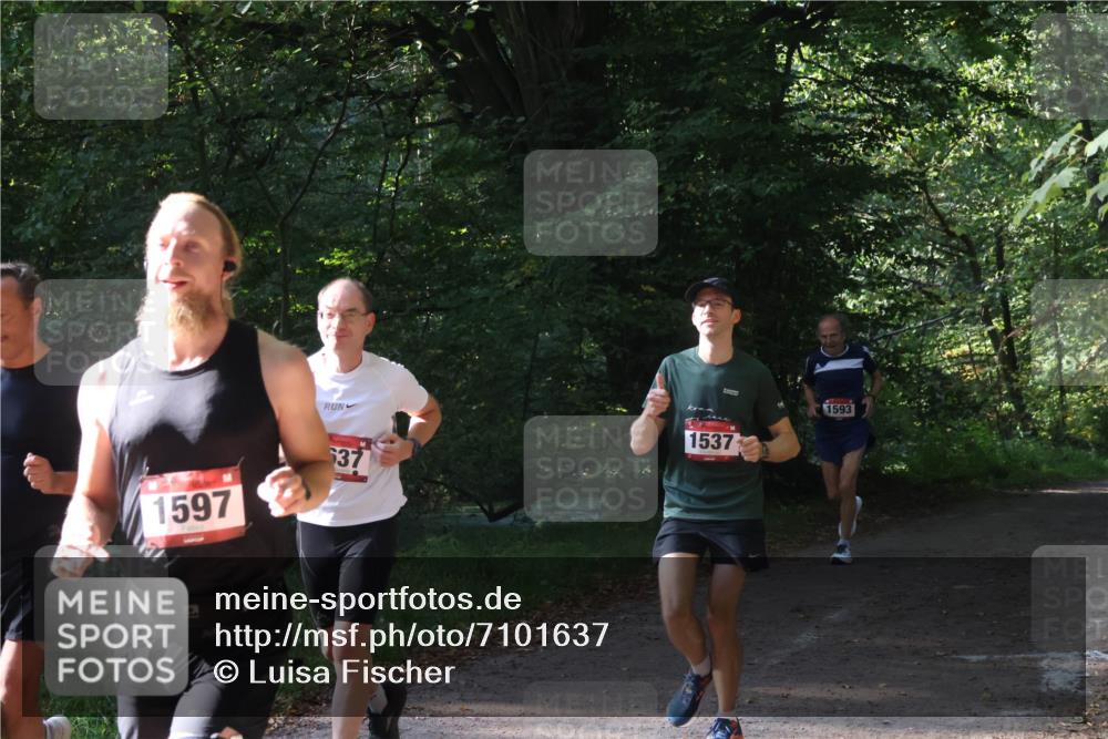 22.09.2024 - 32. Volkslauf durch das schöne Alstertal Luisa Fischer http://msf.ph/oto/7101637 22.09.2024 10:21:22 Laufen 1597, 537, 1537, 1593 meine-sportfotos.de