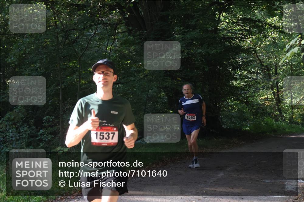 22.09.2024 - 32. Volkslauf durch das schöne Alstertal Luisa Fischer http://msf.ph/oto/7101640 22.09.2024 10:21:23 Laufen 1537, 1593 meine-sportfotos.de