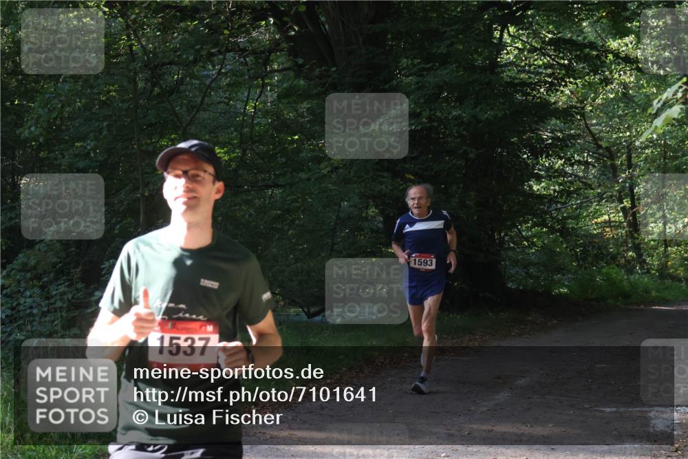 22.09.2024 - 32. Volkslauf durch das schöne Alstertal Luisa Fischer http://msf.ph/oto/7101641 22.09.2024 10:21:23 Laufen 1537, 1593 meine-sportfotos.de
