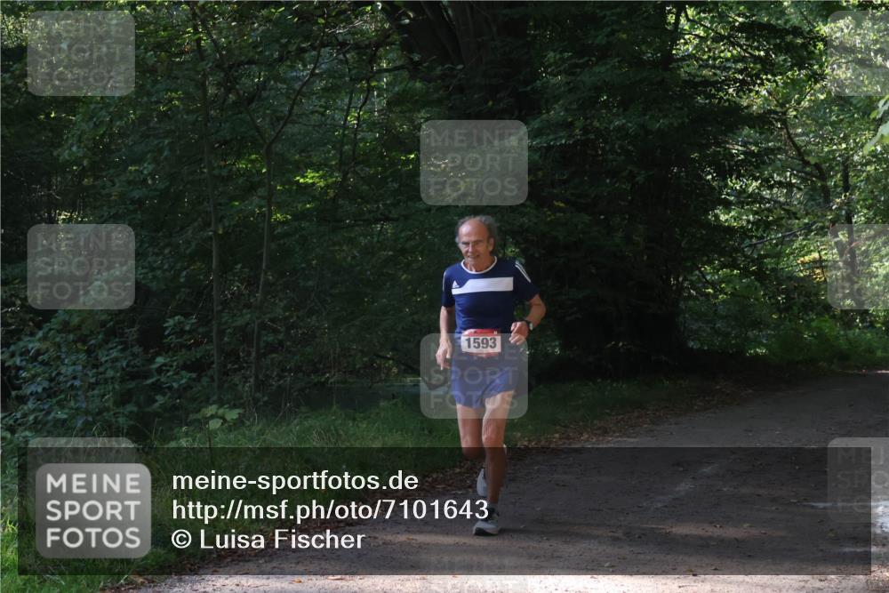 22.09.2024 - 32. Volkslauf durch das schöne Alstertal Luisa Fischer http://msf.ph/oto/7101643 22.09.2024 10:21:24 Laufen 1593 meine-sportfotos.de