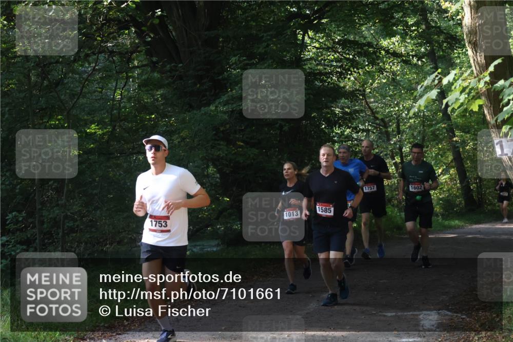 22.09.2024 - 32. Volkslauf durch das schöne Alstertal Luisa Fischer http://msf.ph/oto/7101661 22.09.2024 10:21:51 Laufen 1585, 1013, 1753, 1757, 1602 meine-sportfotos.de