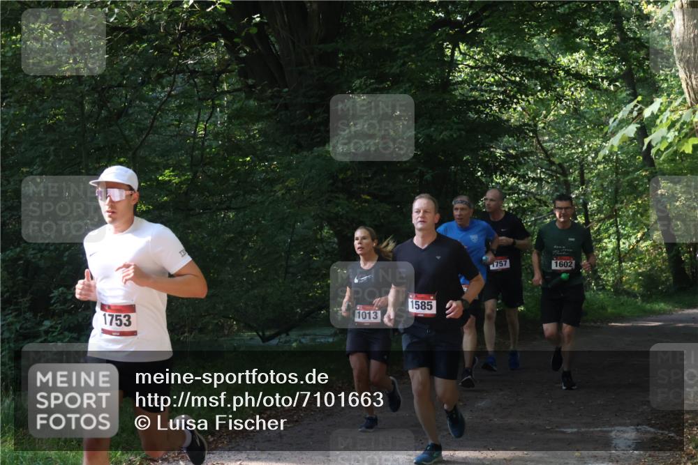22.09.2024 - 32. Volkslauf durch das schöne Alstertal Luisa Fischer http://msf.ph/oto/7101663 22.09.2024 10:21:52 Laufen 1013, 1753, 1585, 1757, 1602 meine-sportfotos.de