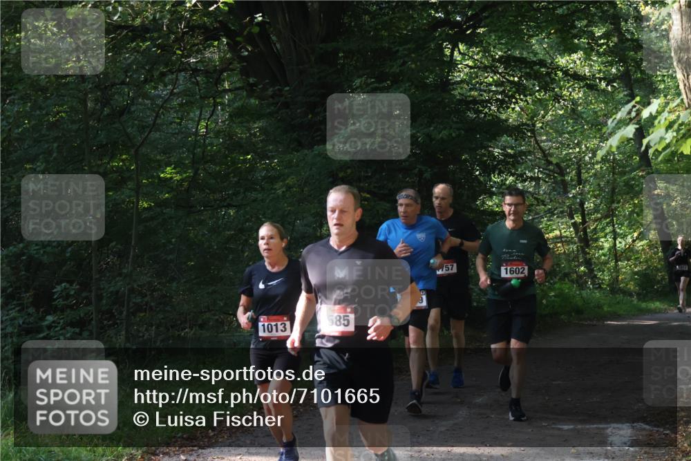 22.09.2024 - 32. Volkslauf durch das schöne Alstertal Luisa Fischer http://msf.ph/oto/7101665 22.09.2024 10:21:53 Laufen 1013, 585, 57, 1602 meine-sportfotos.de