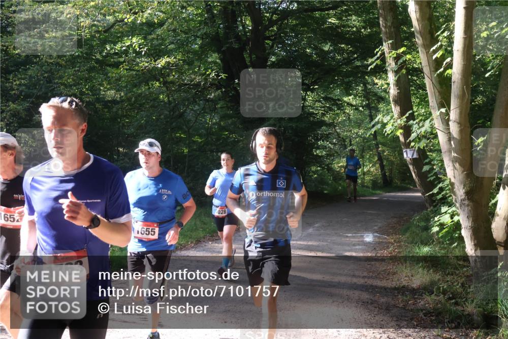 22.09.2024 - 32. Volkslauf durch das schöne Alstertal Luisa Fischer http://msf.ph/oto/7101757 22.09.2024 10:23:22 Laufen 65, 1763, 1655, 028 meine-sportfotos.de