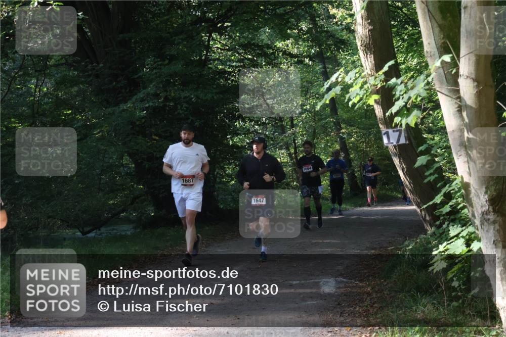 22.09.2024 - 32. Volkslauf durch das schöne Alstertal Luisa Fischer http://msf.ph/oto/7101830 22.09.2024 10:24:21 Laufen 1687, 1647, 1664, 1052, 17 meine-sportfotos.de