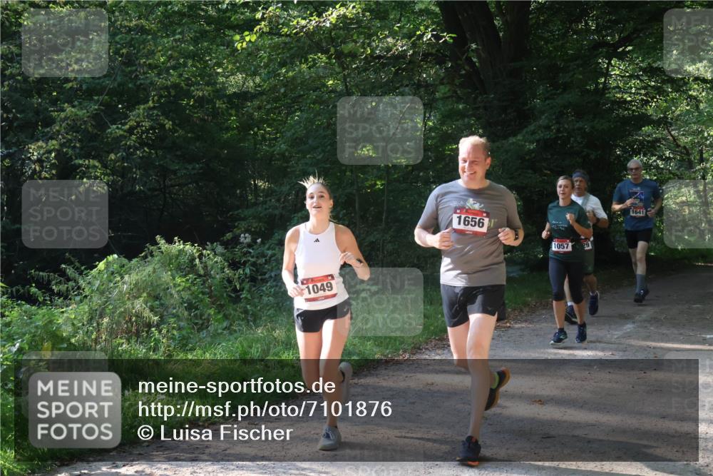 22.09.2024 - 32. Volkslauf durch das schöne Alstertal Luisa Fischer http://msf.ph/oto/7101876 22.09.2024 10:25:33 Laufen 1049, 1656, 1057, 1641 meine-sportfotos.de