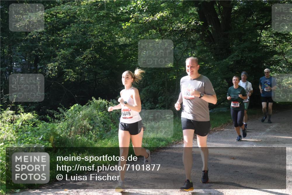22.09.2024 - 32. Volkslauf durch das schöne Alstertal Luisa Fischer http://msf.ph/oto/7101877 22.09.2024 10:25:33 Laufen 1049, 65, 1057, 629, 164 meine-sportfotos.de