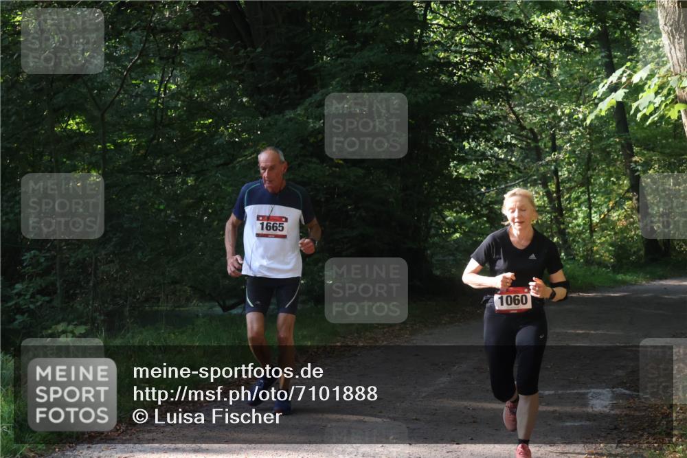 22.09.2024 - 32. Volkslauf durch das schöne Alstertal Luisa Fischer http://msf.ph/oto/7101888 22.09.2024 10:25:46 Laufen 1665, 1060 meine-sportfotos.de