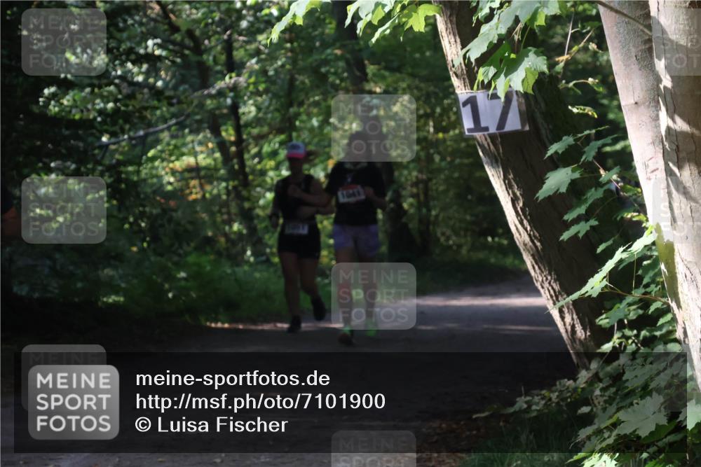 22.09.2024 - 32. Volkslauf durch das schöne Alstertal Luisa Fischer http://msf.ph/oto/7101900 22.09.2024 10:26:13 Laufen 17 meine-sportfotos.de