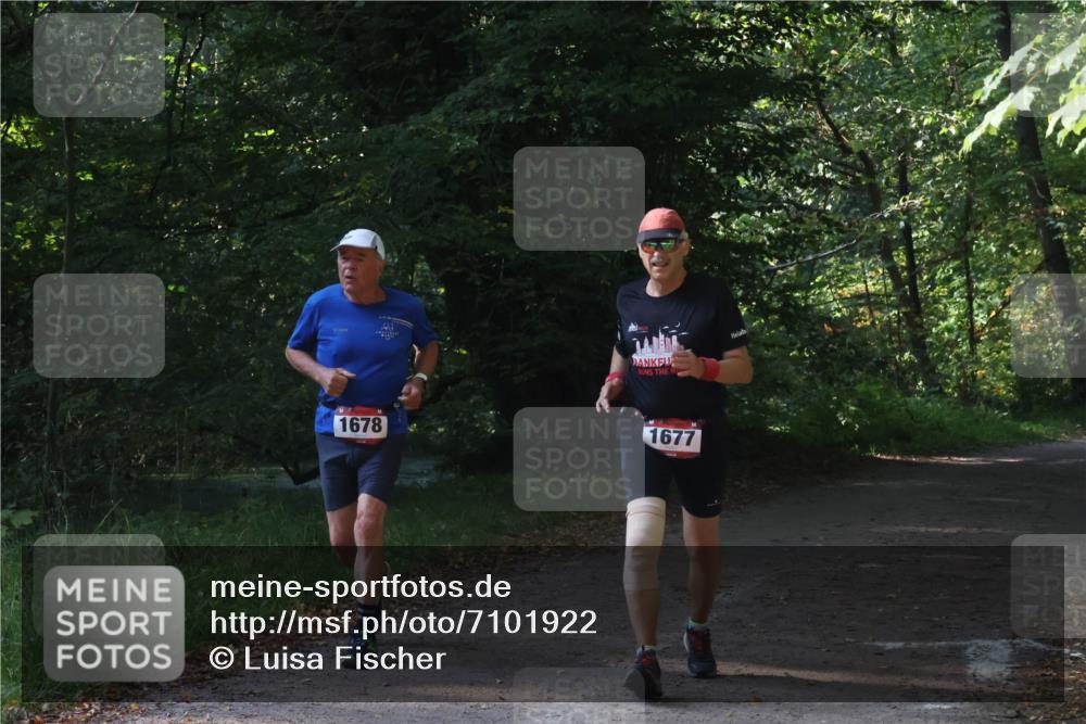 22.09.2024 - 32. Volkslauf durch das schöne Alstertal Luisa Fischer http://msf.ph/oto/7101922 22.09.2024 10:27:23 Laufen 1678, 1677 meine-sportfotos.de