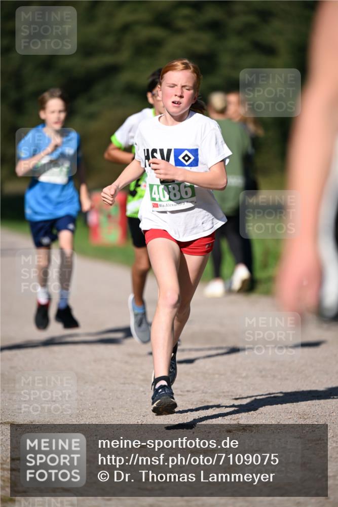 22.09.2024 - 32. Volkslauf durch das schöne Alstertal Dr. Thomas Lammeyer http://msf.ph/oto/7109075 22.09.2024 10:39:57 Laufen 4086 meine-sportfotos.de