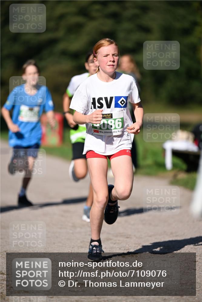 22.09.2024 - 32. Volkslauf durch das schöne Alstertal Dr. Thomas Lammeyer http://msf.ph/oto/7109076 22.09.2024 10:39:58 Laufen 086 meine-sportfotos.de