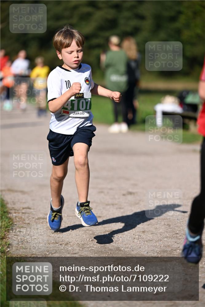 22.09.2024 - 32. Volkslauf durch das schöne Alstertal Dr. Thomas Lammeyer http://msf.ph/oto/7109222 22.09.2024 10:40:37 Laufen 10, 4107 meine-sportfotos.de