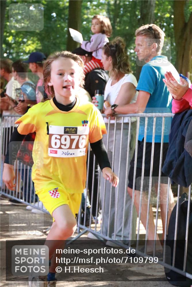 22.09.2024 - 32. Volkslauf durch das schöne Alstertal H.Heesch http://msf.ph/oto/7109799 22.09.2024 10:42:58 Ziel  meine-sportfotos.de