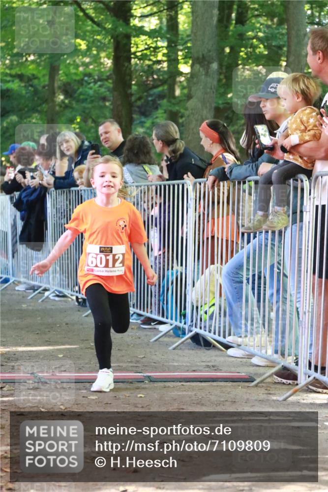 22.09.2024 - 32. Volkslauf durch das schöne Alstertal H.Heesch http://msf.ph/oto/7109809 22.09.2024 10:43:05 Ziel  meine-sportfotos.de