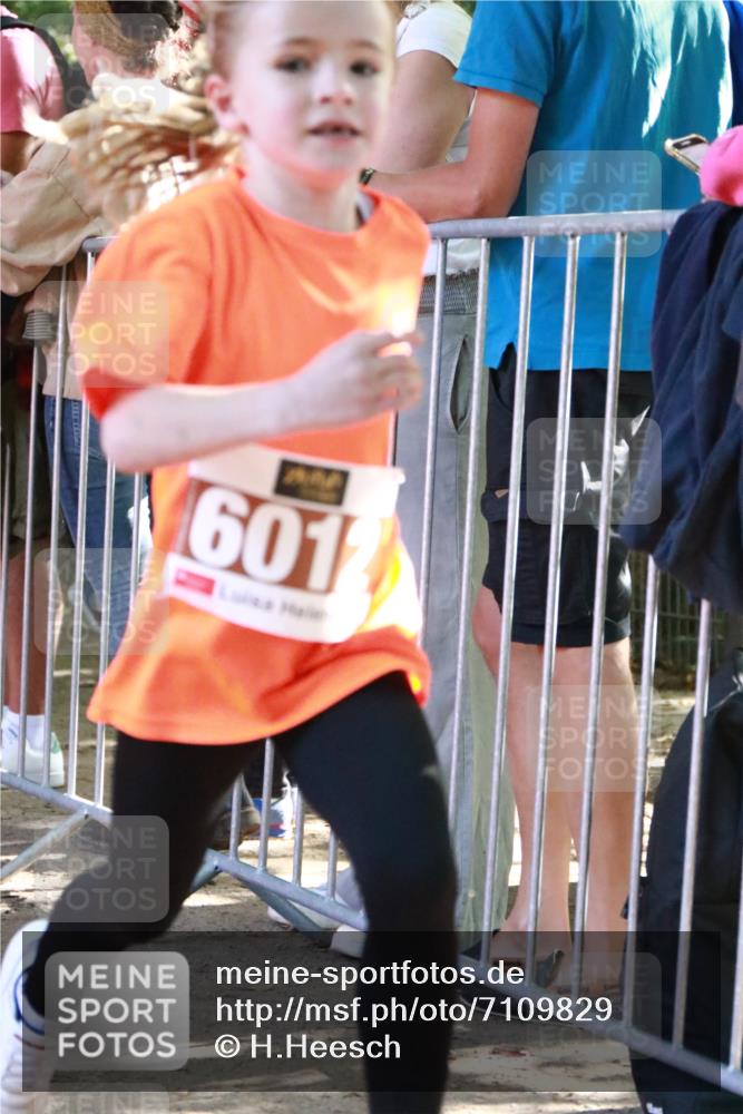 22.09.2024 - 32. Volkslauf durch das schöne Alstertal H.Heesch http://msf.ph/oto/7109829 22.09.2024 10:43:06 Ziel  meine-sportfotos.de
