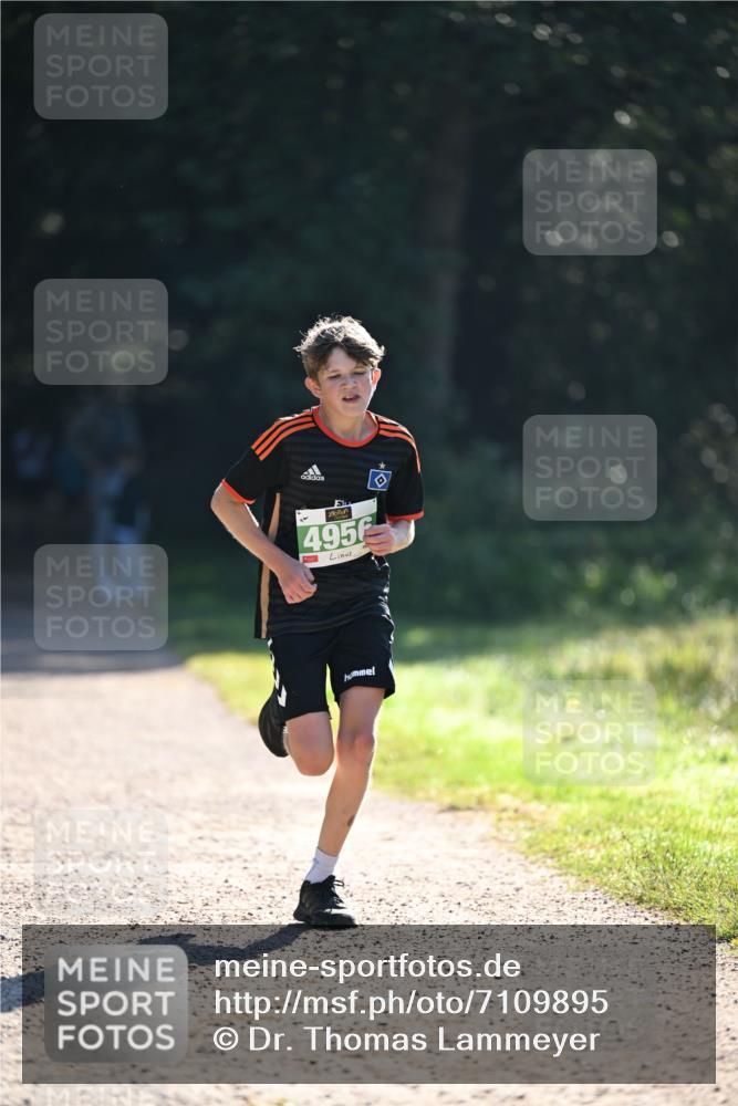 22.09.2024 - 32. Volkslauf durch das schöne Alstertal Dr. Thomas Lammeyer http://msf.ph/oto/7109895 22.09.2024 10:48:00 Laufen 495 meine-sportfotos.de