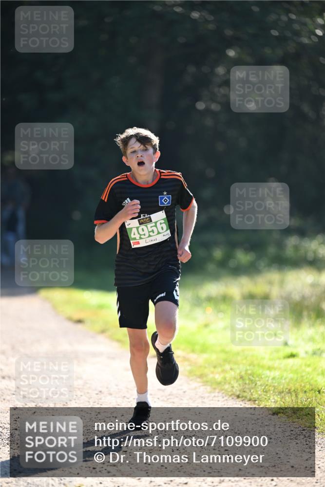 22.09.2024 - 32. Volkslauf durch das schöne Alstertal Dr. Thomas Lammeyer http://msf.ph/oto/7109900 22.09.2024 10:48:00 Laufen 4956, 1 meine-sportfotos.de