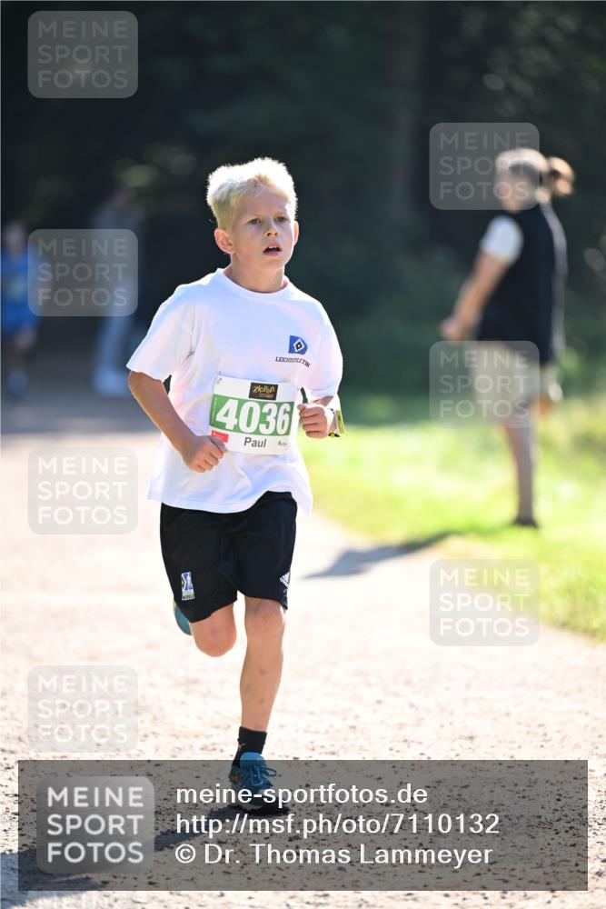 22.09.2024 - 32. Volkslauf durch das schöne Alstertal Dr. Thomas Lammeyer http://msf.ph/oto/7110132 22.09.2024 10:49:30 Laufen 4036 meine-sportfotos.de
