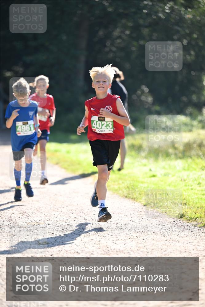 22.09.2024 - 32. Volkslauf durch das schöne Alstertal Dr. Thomas Lammeyer http://msf.ph/oto/7110283 22.09.2024 10:50:21 Laufen 4961, 4023 meine-sportfotos.de