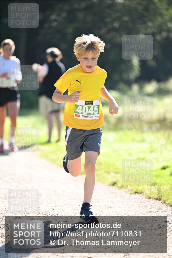 22.09.2024 - 32. Volkslauf durch das schöne Alstertal Dr. Thomas Lammeyer http://msf.ph/oto/7110831 22.09.2024 10:51:37 Laufen 4045 meine-sportfotos.de