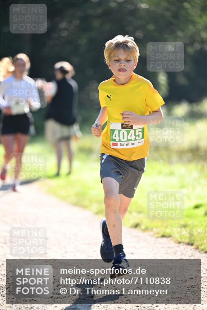 22.09.2024 - 32. Volkslauf durch das schöne Alstertal Dr. Thomas Lammeyer http://msf.ph/oto/7110838 22.09.2024 10:51:37 Laufen 4045 meine-sportfotos.de