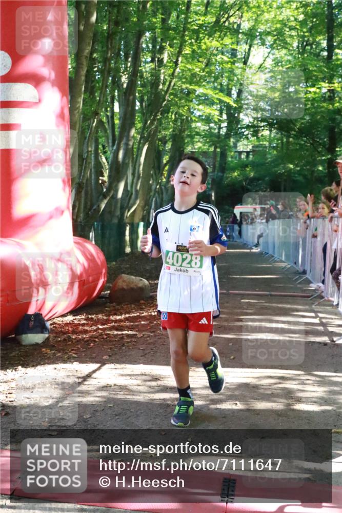 22.09.2024 - 32. Volkslauf durch das schöne Alstertal H.Heesch http://msf.ph/oto/7111647 22.09.2024 10:54:05 Ziel 4028, 4163 meine-sportfotos.de