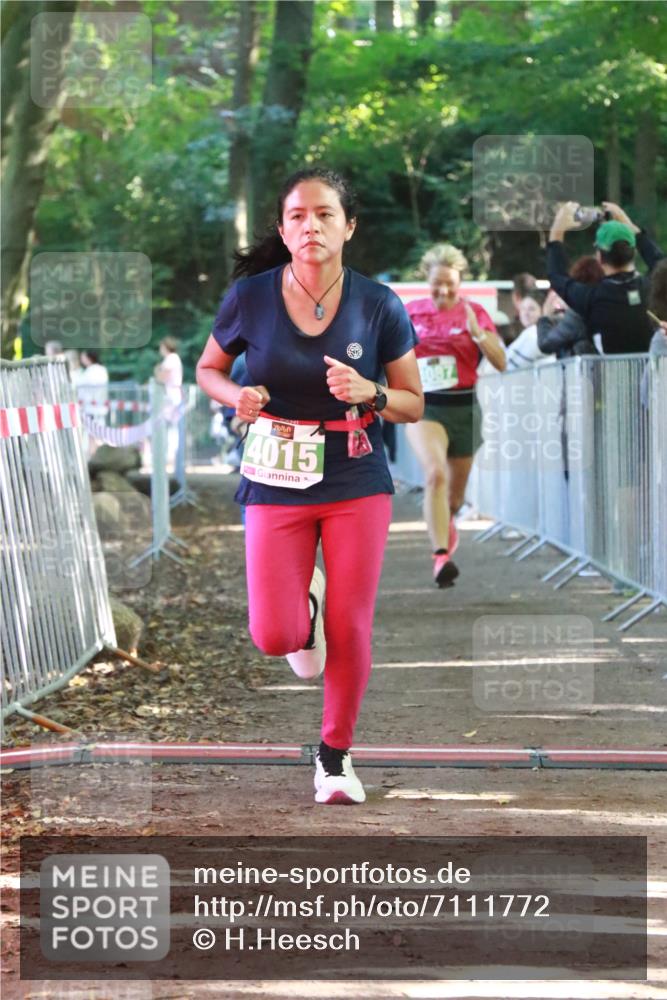 22.09.2024 - 32. Volkslauf durch das schöne Alstertal H.Heesch http://msf.ph/oto/7111772 22.09.2024 10:54:55 Ziel 4015, 4087, 4088 meine-sportfotos.de