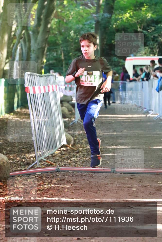 22.09.2024 - 32. Volkslauf durch das schöne Alstertal H.Heesch http://msf.ph/oto/7111936 22.09.2024 10:55:36 Ziel 4042, 4103, 4105 meine-sportfotos.de