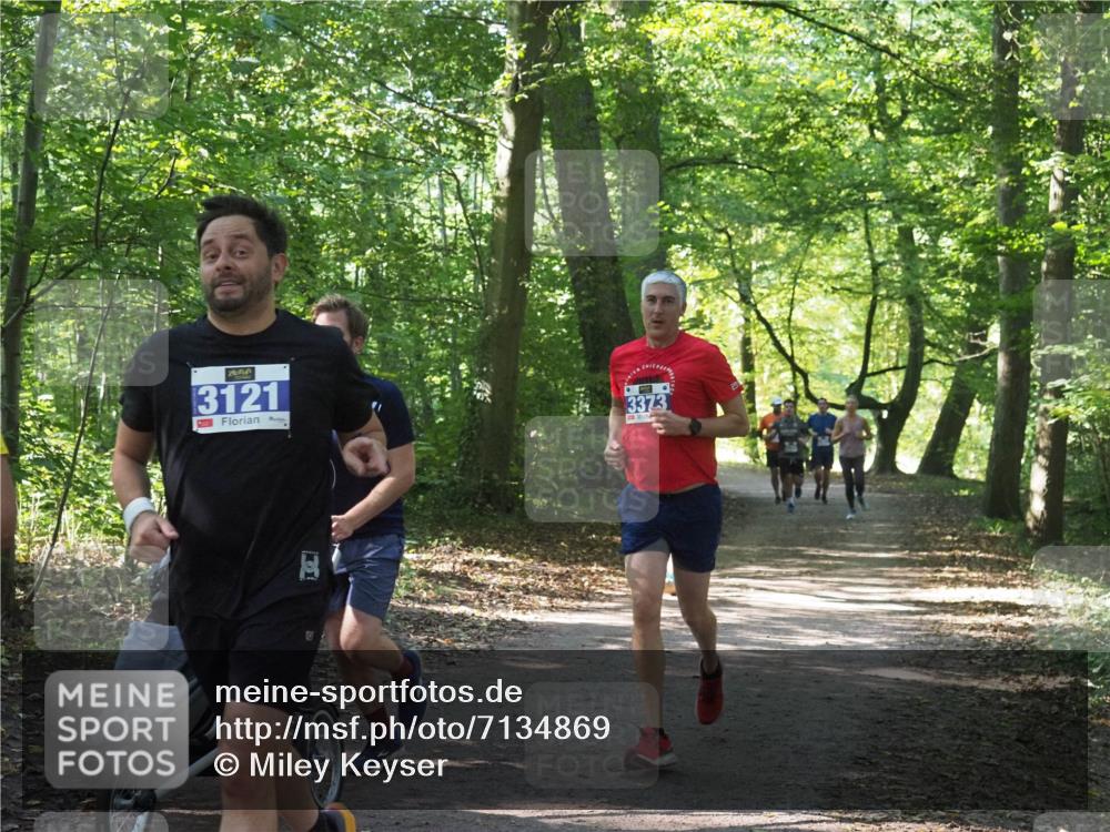 22.09.2024 - 32. Volkslauf durch das schöne Alstertal Miley Keyser http://msf.ph/oto/7134869 22.09.2024 10:52:11 Laufen 3121, 3373 meine-sportfotos.de