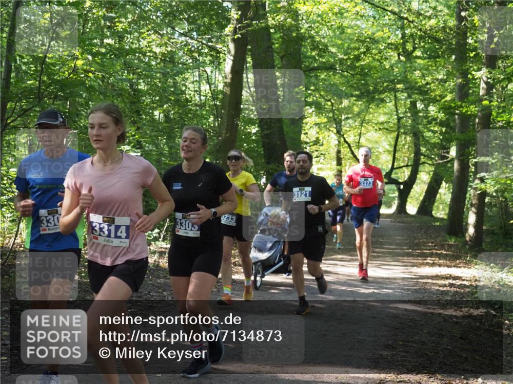 22.09.2024 - 32. Volkslauf durch das schöne Alstertal Miley Keyser http://msf.ph/oto/7134873 22.09.2024 10:52:09 Laufen 330, 3314, 3305, 233, 3121, 3373, 8 meine-sportfotos.de
