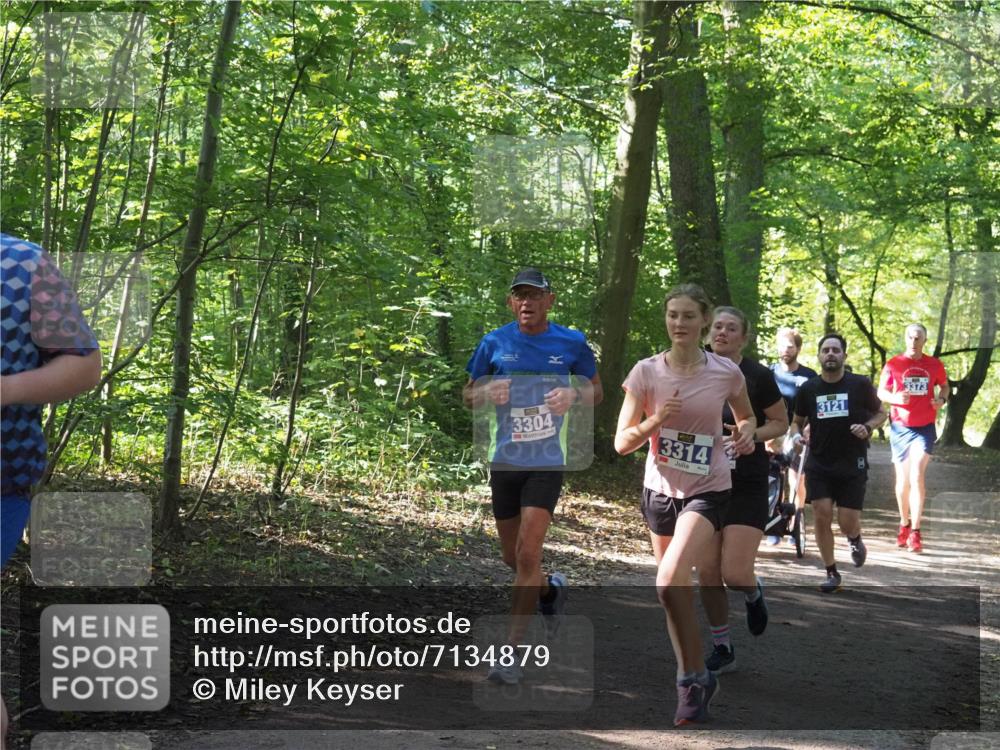 22.09.2024 - 32. Volkslauf durch das schöne Alstertal Miley Keyser http://msf.ph/oto/7134879 22.09.2024 10:52:08 Laufen 3304, 3314, 3373, 3121 meine-sportfotos.de