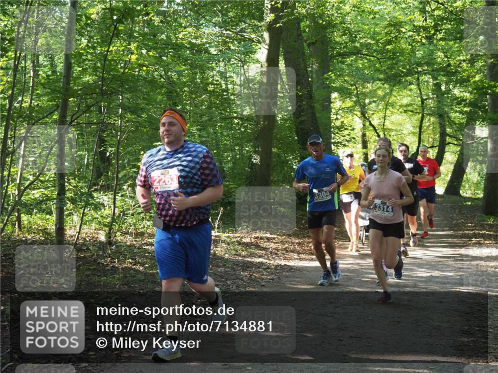 22.09.2024 - 32. Volkslauf durch das schöne Alstertal Miley Keyser http://msf.ph/oto/7134881 22.09.2024 10:52:07 Laufen 2263, 3304, 3314 meine-sportfotos.de