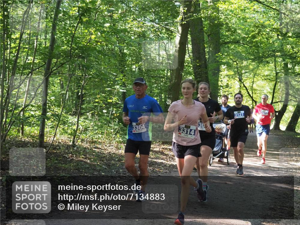 22.09.2024 - 32. Volkslauf durch das schöne Alstertal Miley Keyser http://msf.ph/oto/7134883 22.09.2024 10:52:08 Laufen 3304, 3314, 30, 3121 meine-sportfotos.de