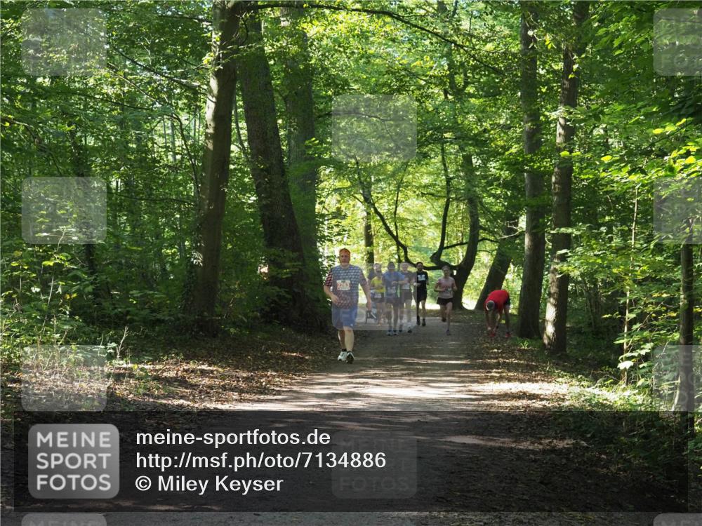 22.09.2024 - 32. Volkslauf durch das schöne Alstertal Miley Keyser http://msf.ph/oto/7134886 22.09.2024 10:52:01 Laufen  meine-sportfotos.de