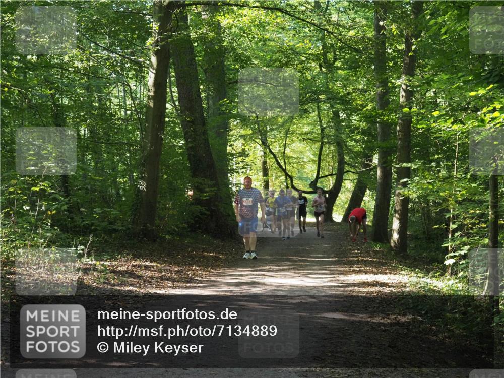 22.09.2024 - 32. Volkslauf durch das schöne Alstertal Miley Keyser http://msf.ph/oto/7134889 22.09.2024 10:52:01 Laufen 2263 meine-sportfotos.de