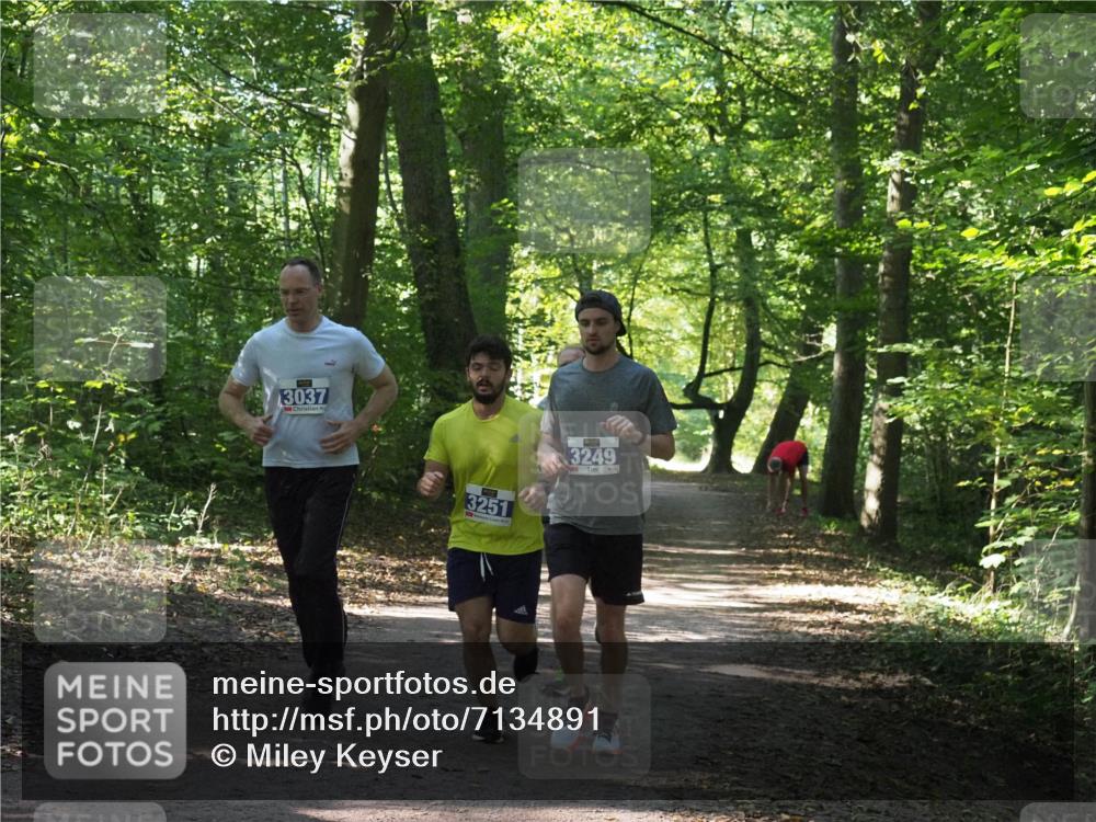 22.09.2024 - 32. Volkslauf durch das schöne Alstertal Miley Keyser http://msf.ph/oto/7134891 22.09.2024 10:51:56 Laufen 3037, 3251, 3249 meine-sportfotos.de