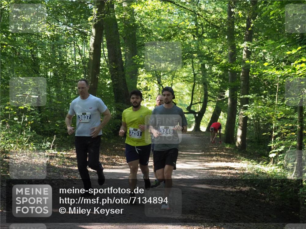 22.09.2024 - 32. Volkslauf durch das schöne Alstertal Miley Keyser http://msf.ph/oto/7134894 22.09.2024 10:51:56 Laufen 3037, 3251, 3249 meine-sportfotos.de