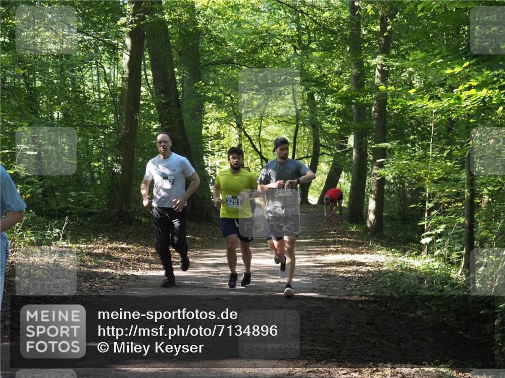 22.09.2024 - 32. Volkslauf durch das schöne Alstertal Miley Keyser http://msf.ph/oto/7134896 22.09.2024 10:51:55 Laufen 3251, 3249 meine-sportfotos.de