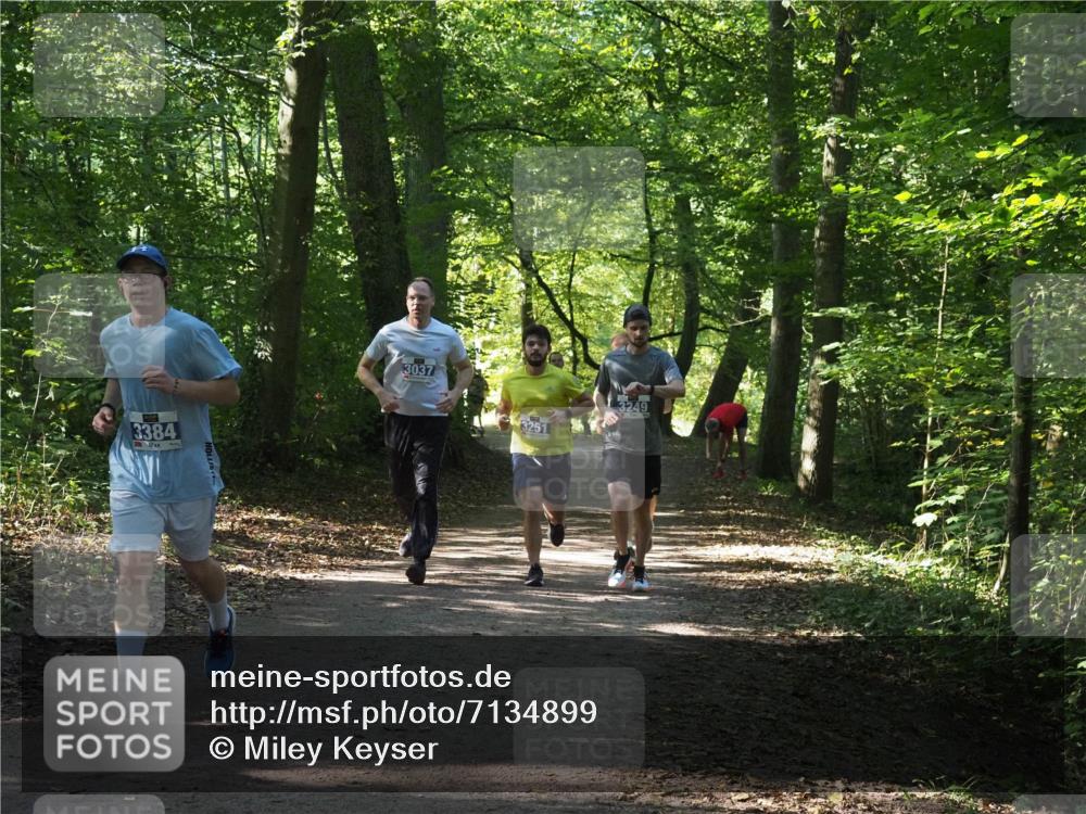 22.09.2024 - 32. Volkslauf durch das schöne Alstertal Miley Keyser http://msf.ph/oto/7134899 22.09.2024 10:51:54 Laufen 3384, 3037, 3251, 3249 meine-sportfotos.de