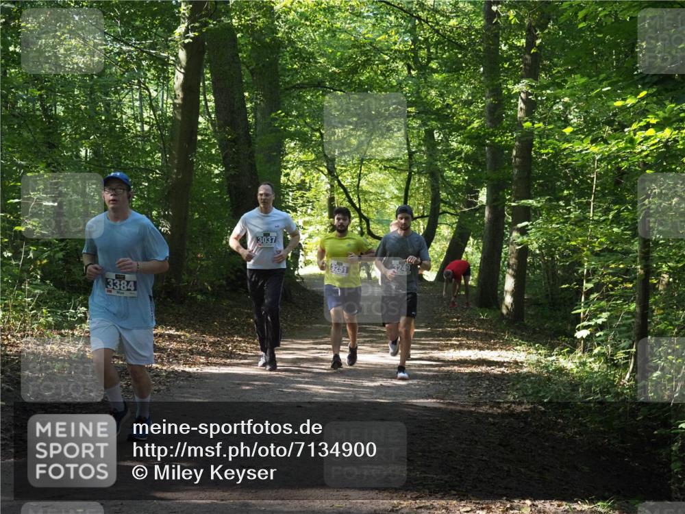 22.09.2024 - 32. Volkslauf durch das schöne Alstertal Miley Keyser http://msf.ph/oto/7134900 22.09.2024 10:51:54 Laufen 3384, 3037, 3251, 3249 meine-sportfotos.de