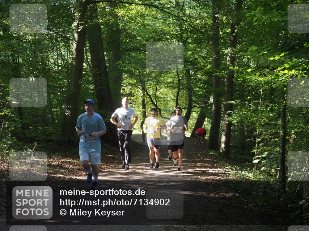 22.09.2024 - 32. Volkslauf durch das schöne Alstertal Miley Keyser http://msf.ph/oto/7134902 22.09.2024 10:51:53 Laufen 3384, 3037, 249 meine-sportfotos.de
