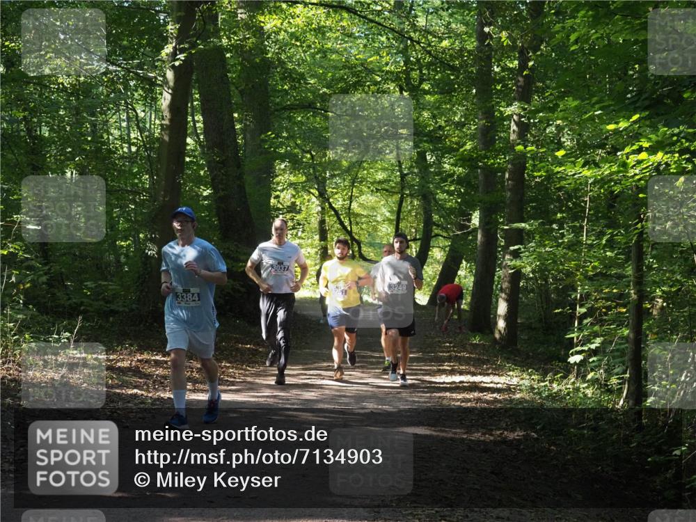 22.09.2024 - 32. Volkslauf durch das schöne Alstertal Miley Keyser http://msf.ph/oto/7134903 22.09.2024 10:51:54 Laufen 3384, 3037, 3249 meine-sportfotos.de