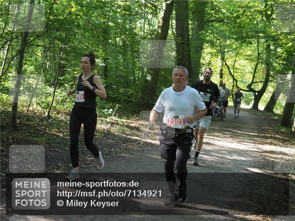 22.09.2024 - 32. Volkslauf durch das schöne Alstertal Miley Keyser http://msf.ph/oto/7134921 22.09.2024 10:51:40 Laufen 095, 2303, 3240 meine-sportfotos.de