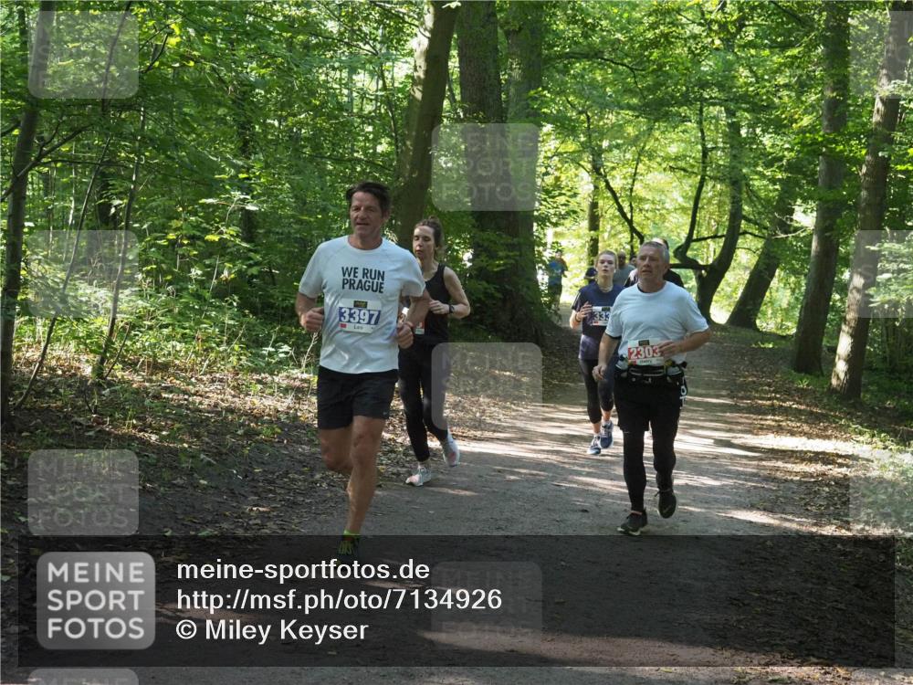 22.09.2024 - 32. Volkslauf durch das schöne Alstertal Miley Keyser http://msf.ph/oto/7134926 22.09.2024 10:51:38 Laufen 3397, 333, 2303 meine-sportfotos.de