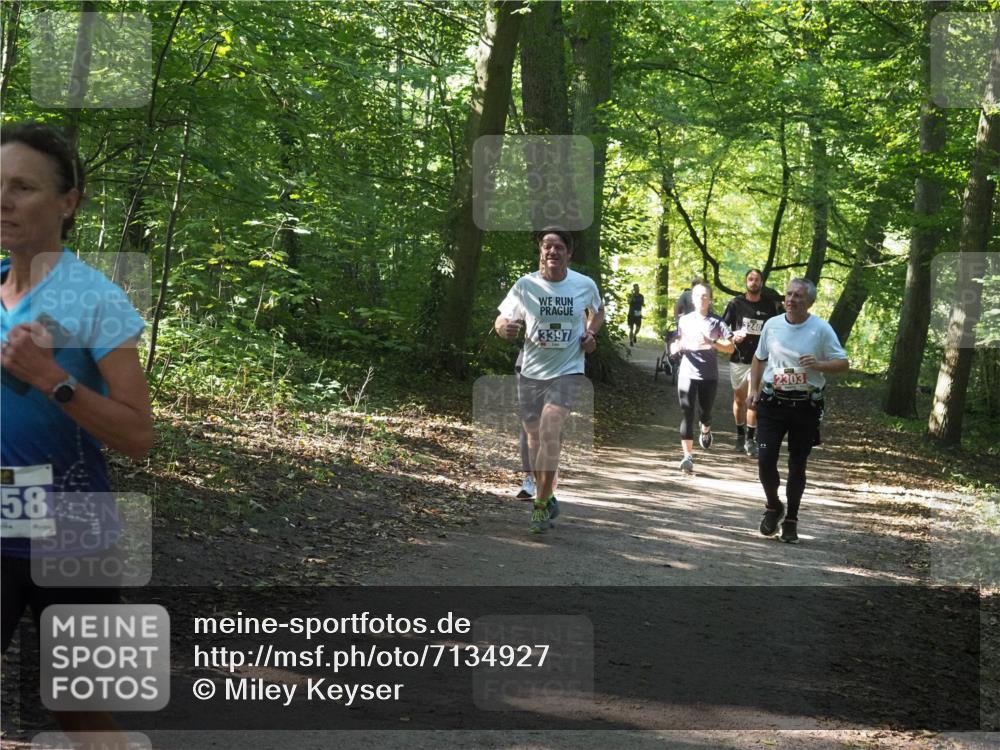 22.09.2024 - 32. Volkslauf durch das schöne Alstertal Miley Keyser http://msf.ph/oto/7134927 22.09.2024 10:51:37 Laufen 58, 3397, 3240, 2303 meine-sportfotos.de