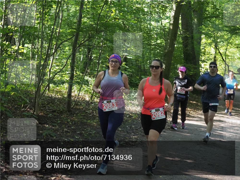 22.09.2024 - 32. Volkslauf durch das schöne Alstertal Miley Keyser http://msf.ph/oto/7134936 22.09.2024 10:51:33 Laufen 2083, 2082, 3958 meine-sportfotos.de