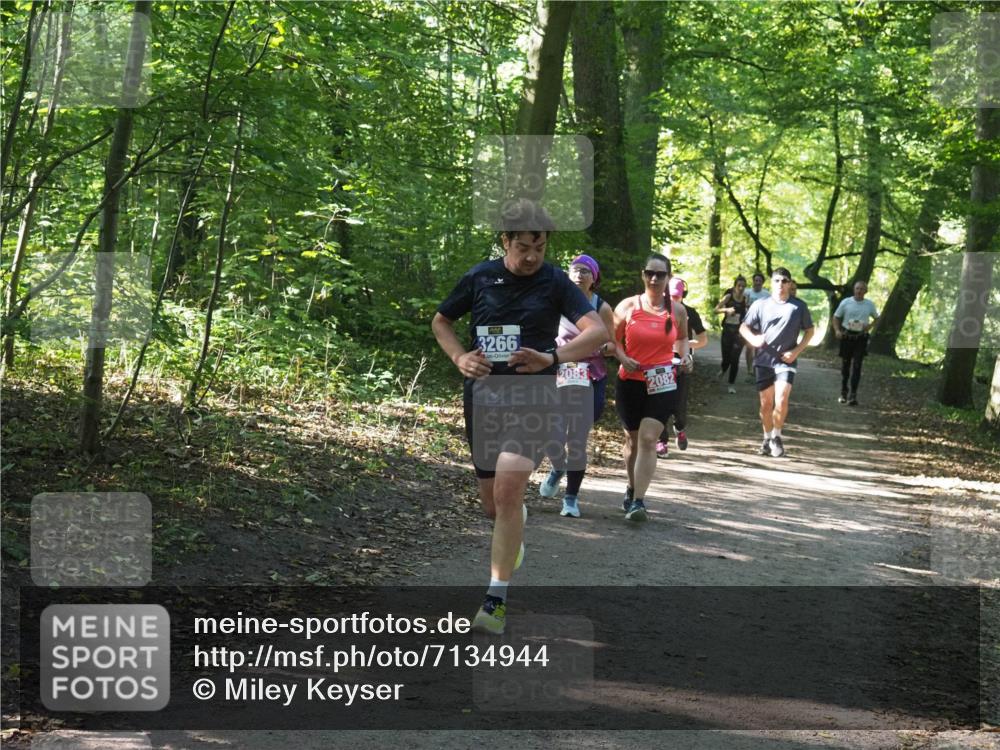 22.09.2024 - 32. Volkslauf durch das schöne Alstertal Miley Keyser http://msf.ph/oto/7134944 22.09.2024 10:51:31 Laufen 3266, 2083, 2082 meine-sportfotos.de